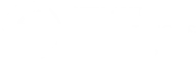 Geelani Consultancy & Solutions