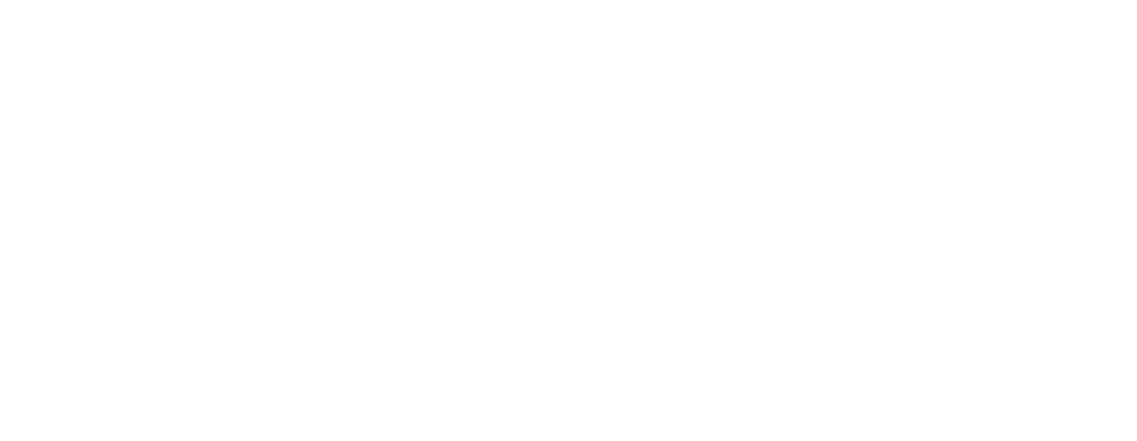 Geelani Consultancy and Solutions